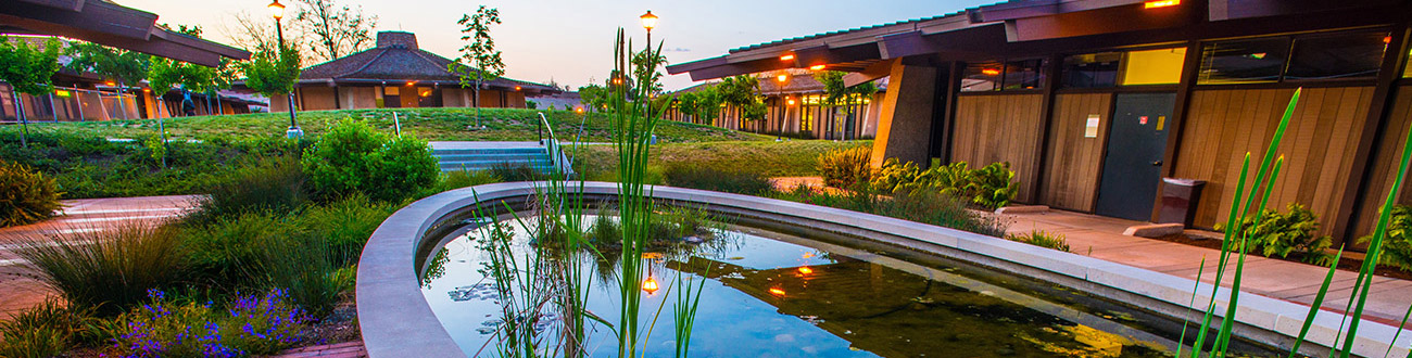 Campus Pond