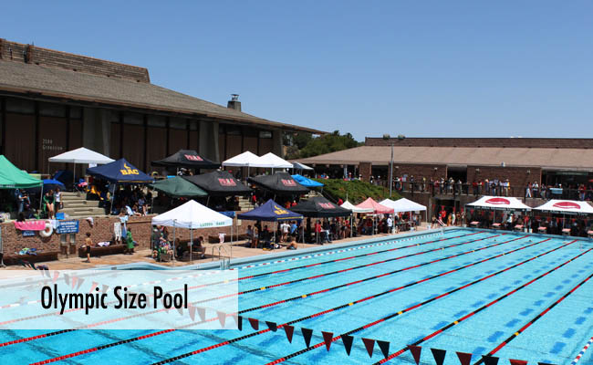 Athletics swimming pool