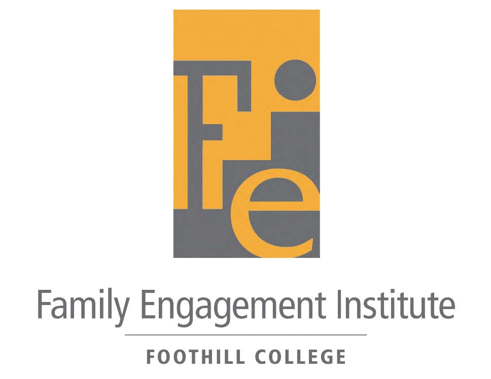 fei logo