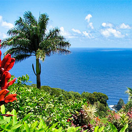 ocean with foliage in foreground