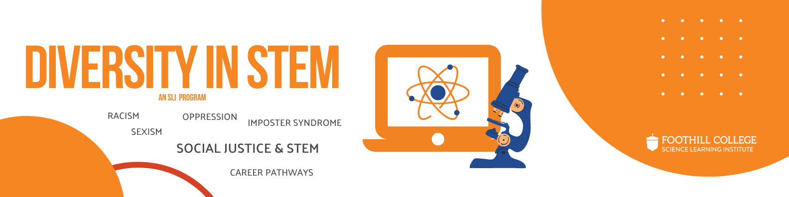 diversity in STEM banner